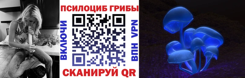 где купить наркоту  Чебаркуль  Псилоцибиновые грибы Magic Shrooms 